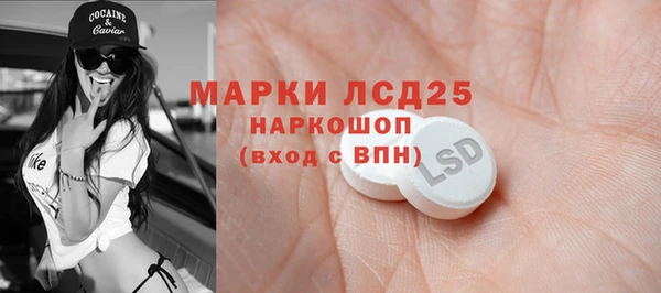 прущие грибы Артём