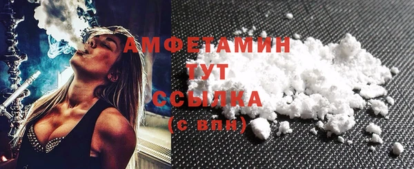 шишки Медвежьегорск