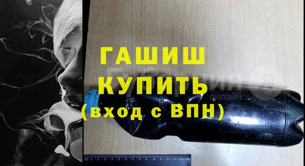 шишки Медвежьегорск