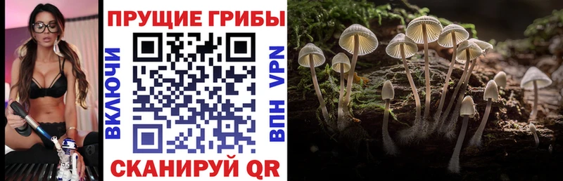 сайты даркнета Telegram Нефтегорск Галлюциногенные грибы MAGIC MUSHROOMS OMG как зайти
